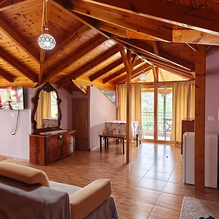Ziaj's Cozy Loft * Gjirokastër
